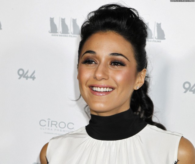 Emmanuelle Chriqui Girl Walks Into A Bar Posing Hot High Resolution